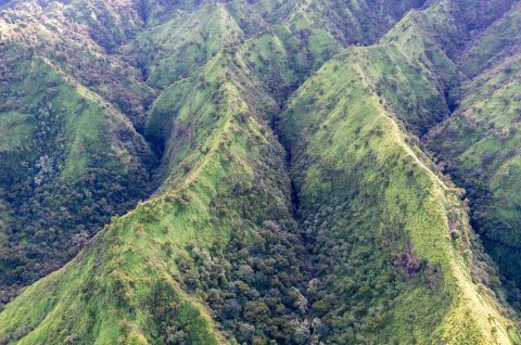 Kauai-1125