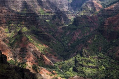 Kauai-120