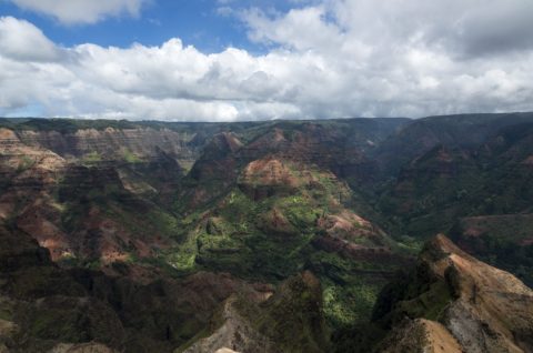 Kauai-121