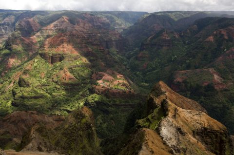 Kauai-122