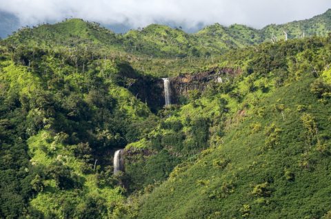 Kauai-263