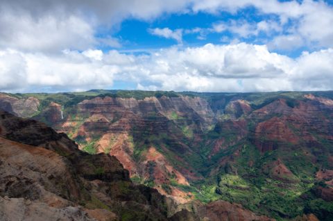 Kauai-5736