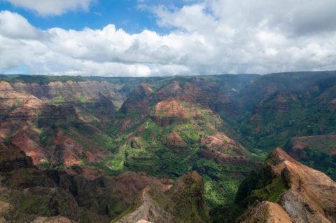 Kauai-5781