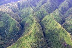 Kauai-1126